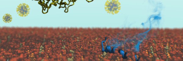 defnegorgun Profile Banner