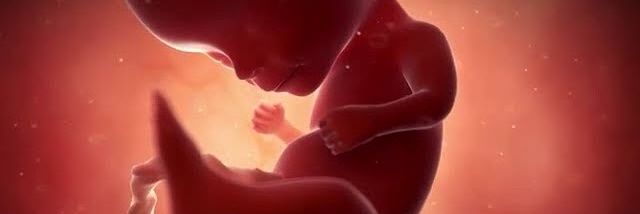 ﾌ乇丂ㄩ丂 爪乇ᗪ.乇丂💪🇺🇦 🇪🇦❤️🇮🇱 banner