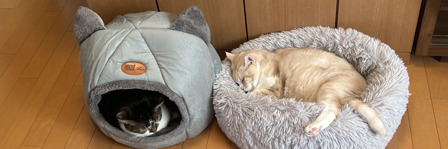 まゆ ハク。 banner