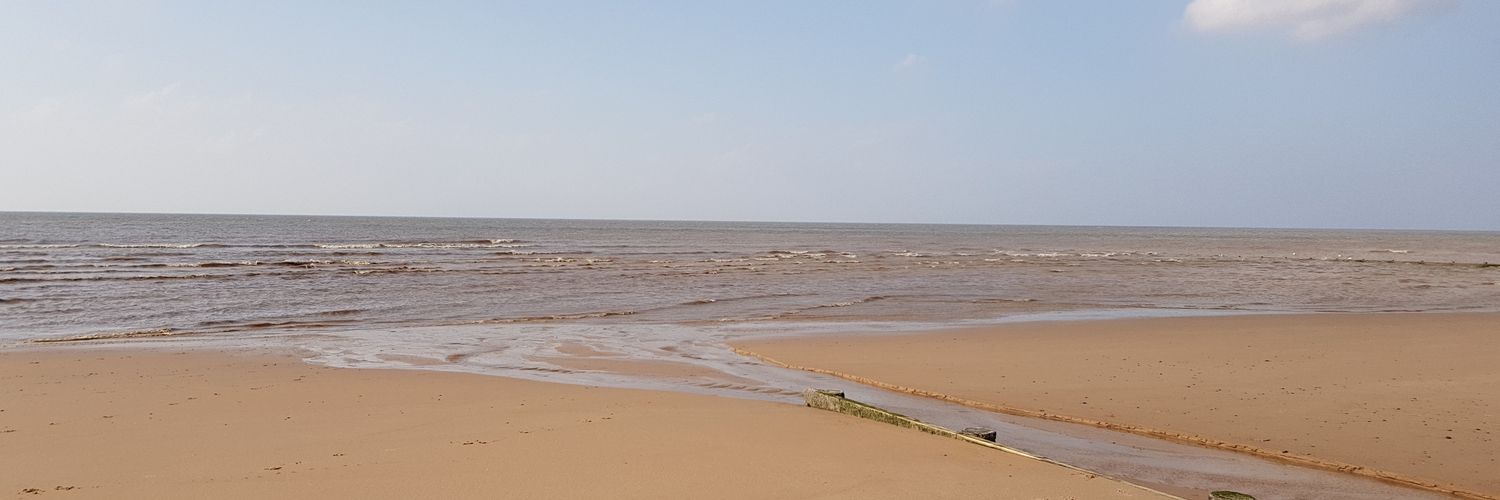 nicola marham banner