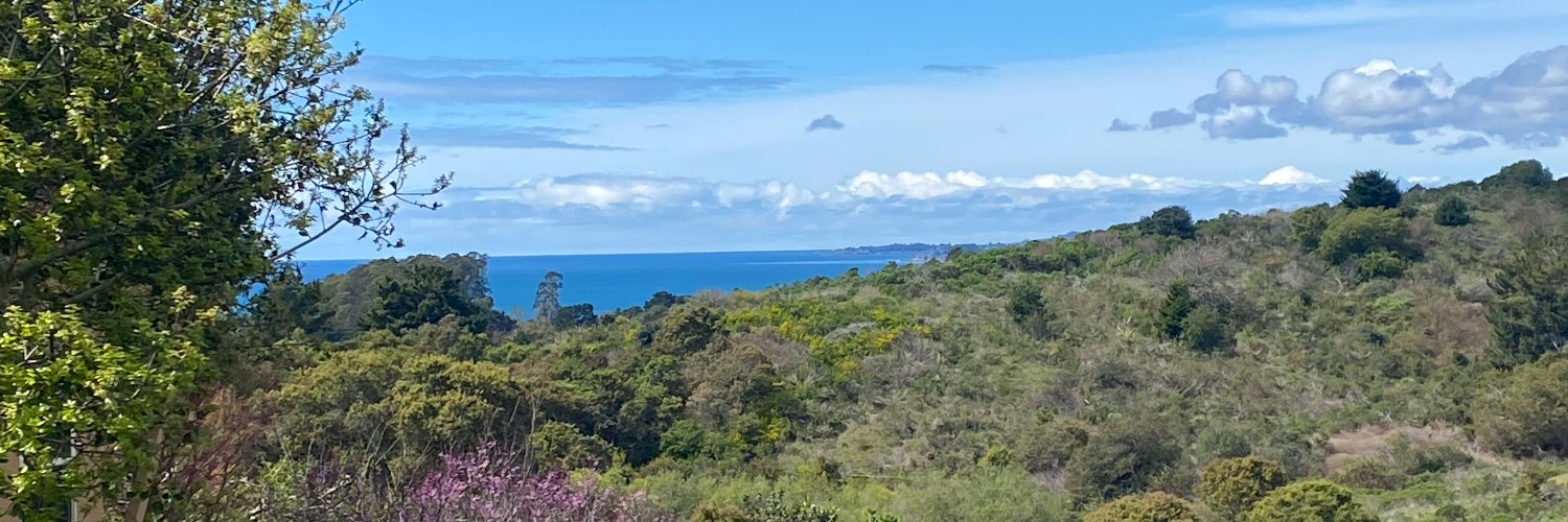 Maria Bogdanos banner