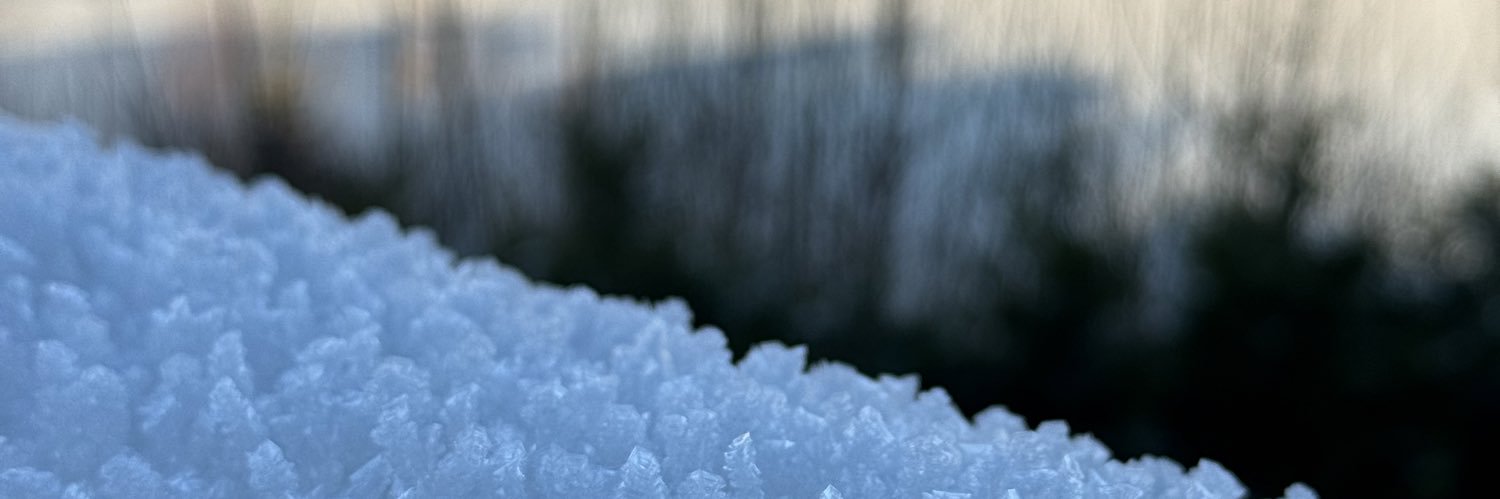 Johnny V. Tran banner