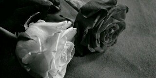 LKS_KYJ's profile banner image