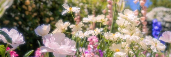 CuteheartCorner Profile Banner