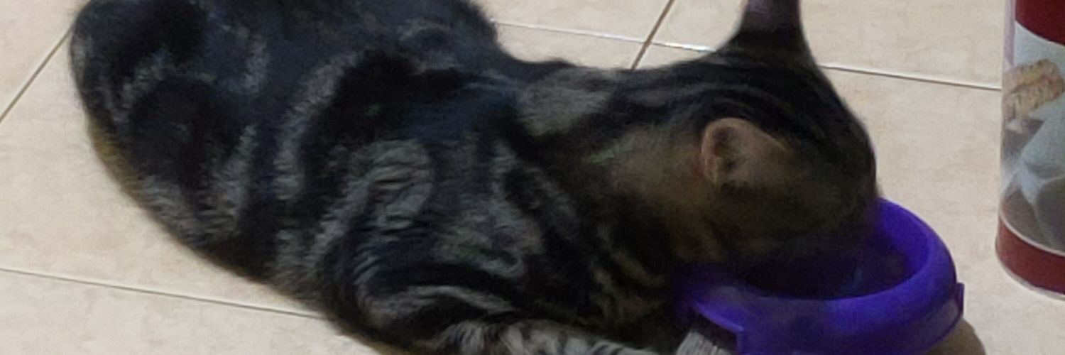 worldofchoco24's profile banner image