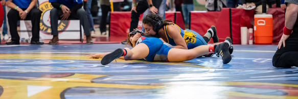 Kelly McNeary banner