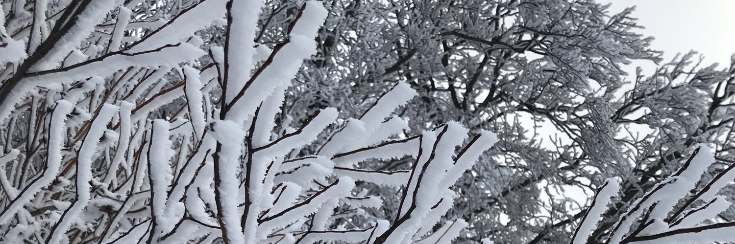Tiger180312's profile banner image
