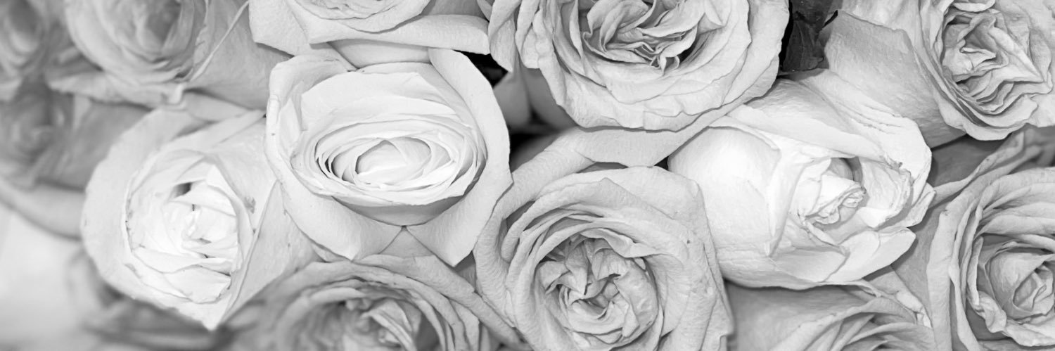 CrazySalmona's profile banner image