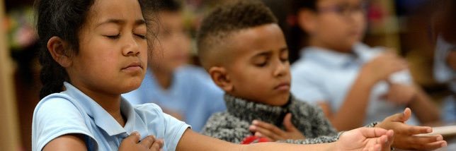 Mindful Life Project banner