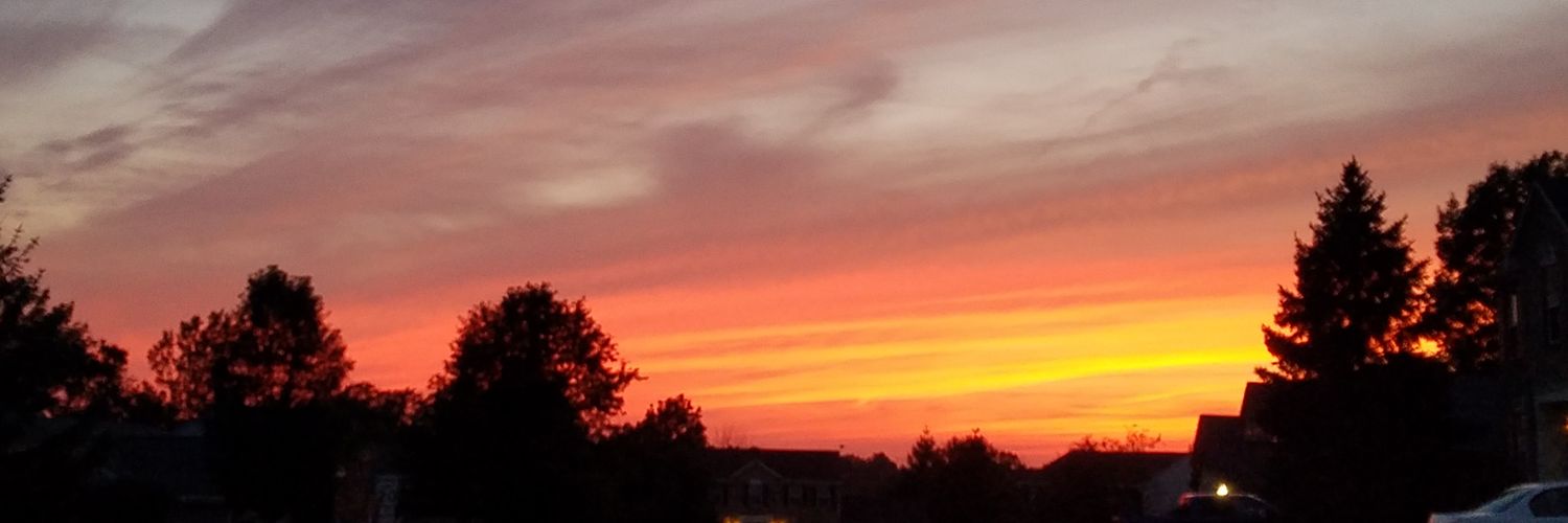 DenhamMelissa's profile banner image