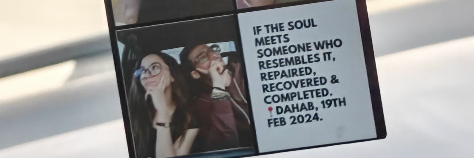 RoseBHamza's profile banner image