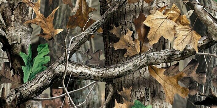 Buckwild_10's profile banner image