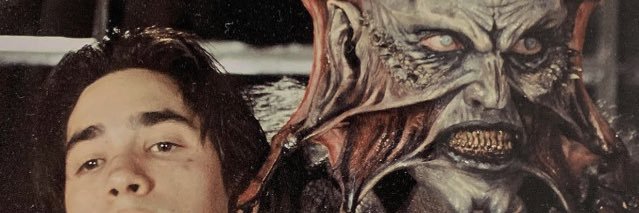 raelynn banner