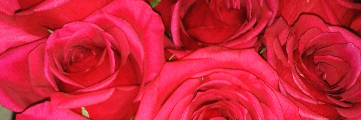 ZayuanS's profile banner image