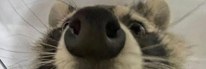 abigfatcake's profile banner image