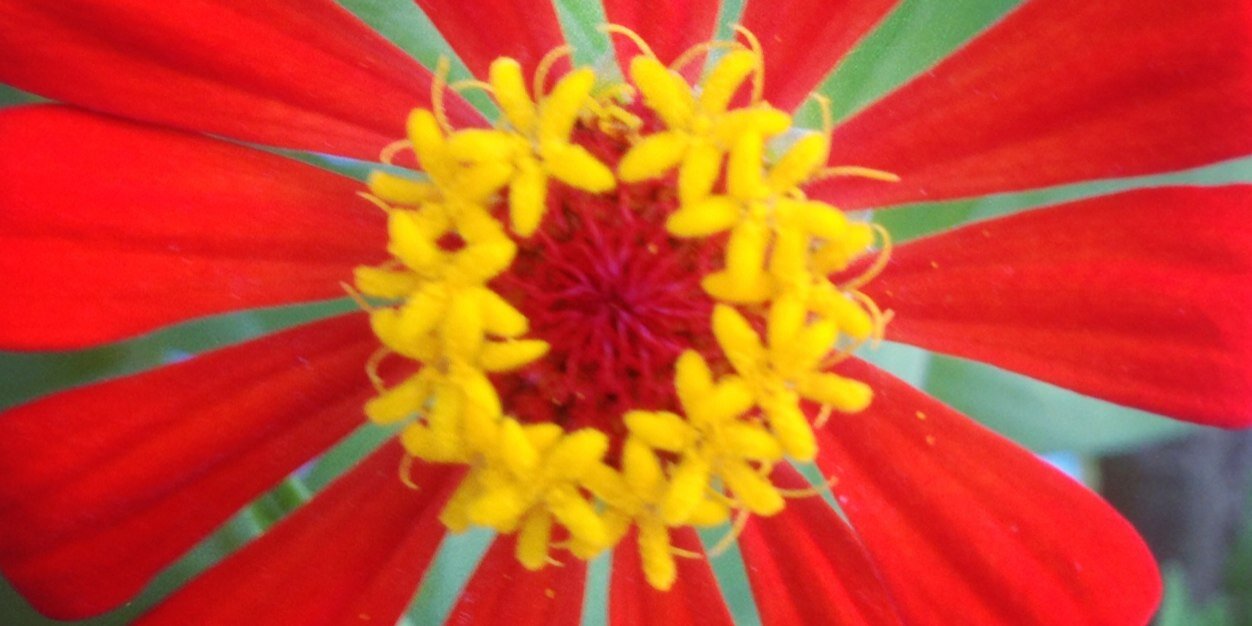 hollowav's profile banner image