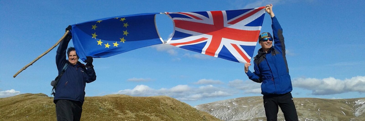 Simon MacDonald #FBPE #RejoinEU 🇪🇺🇬🇧🕷🎩 banner