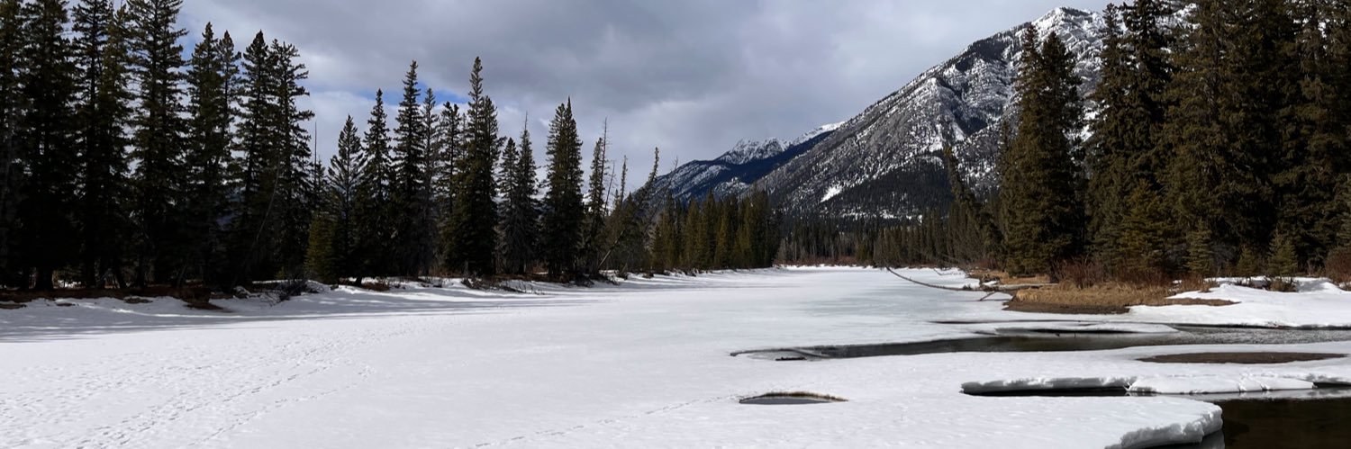 Steve Andrews 🌻💔 banner