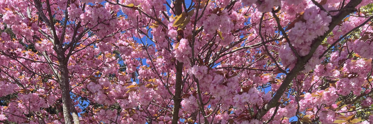 mar_z17's profile banner image