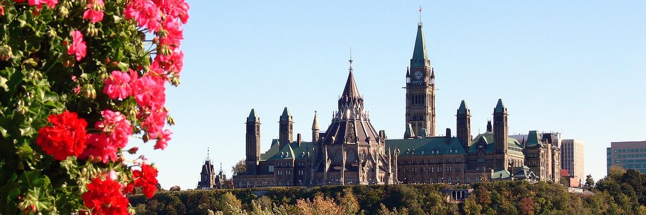 CFAOttawa's profile banner image