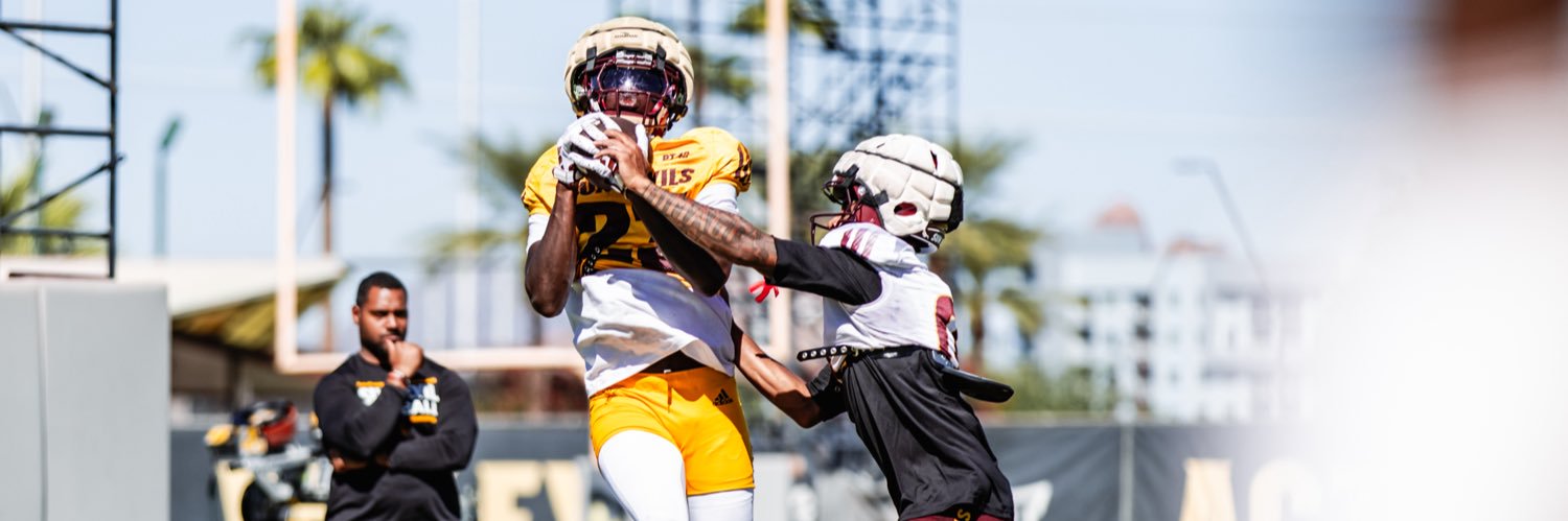 ÄDAMA D. FALL banner