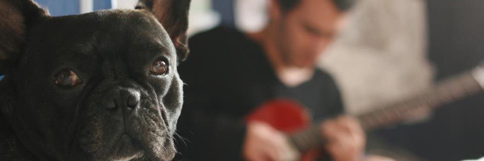 Stéffano Dueñas banner