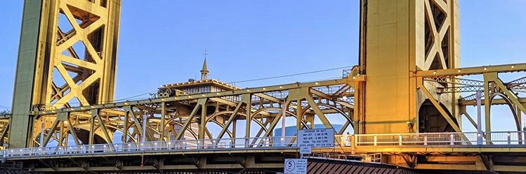 Danielle Shank banner