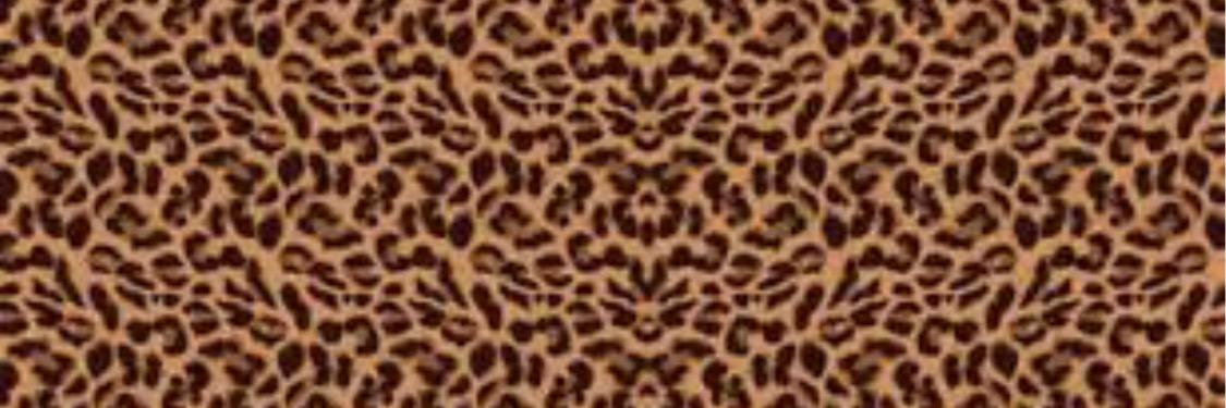 Mrs300Chunkee's profile banner image