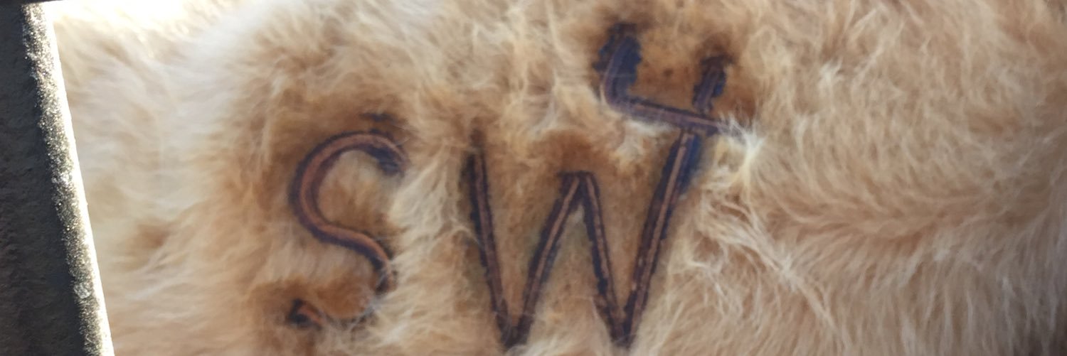 wishkoski's profile banner image