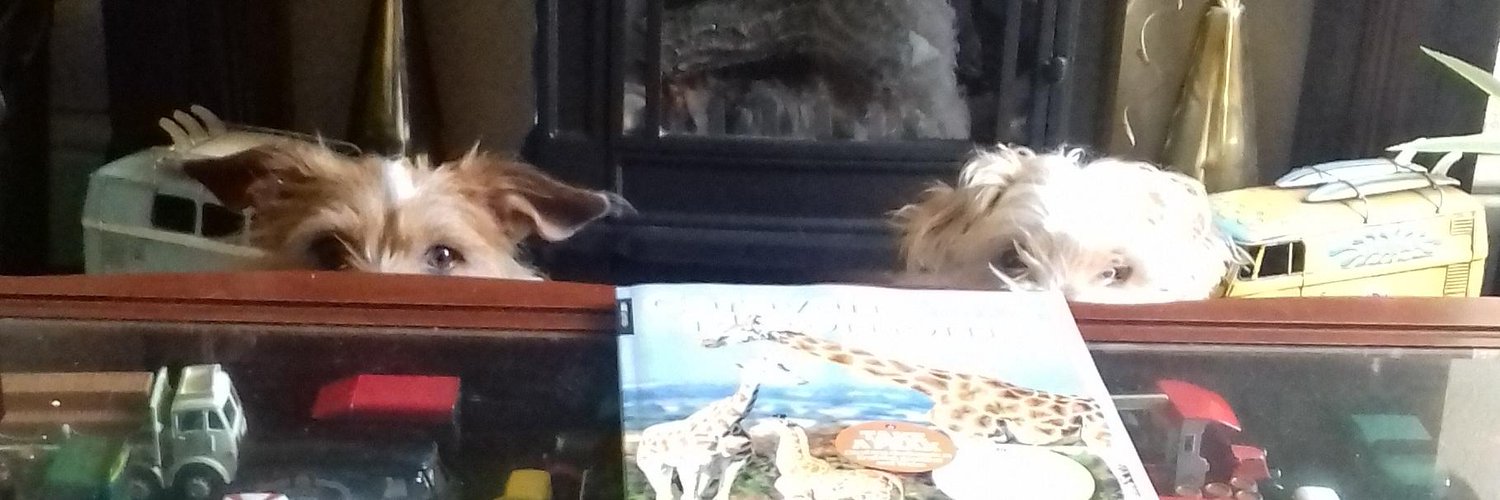 🐝Toby 🐶🐾& Tilly 🐶🐾 🌈Jac🌹🌈 Terry 🌹🏁🐝 banner