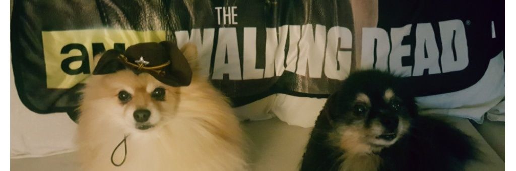 PFriggy's profile banner image
