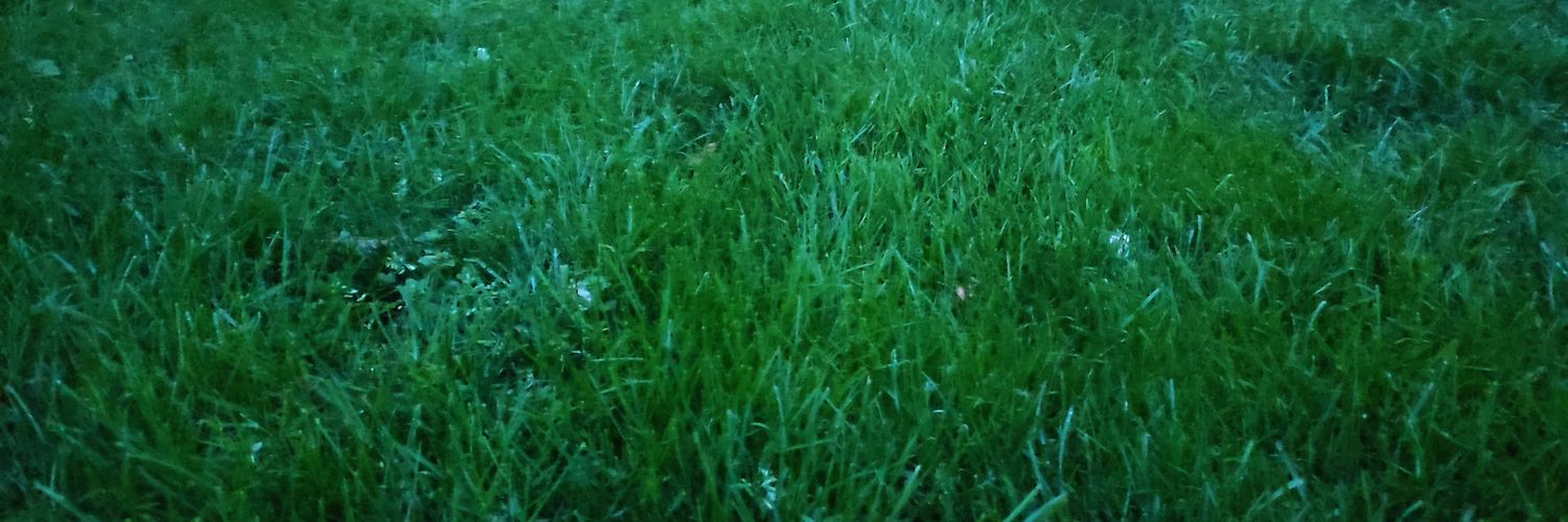cyrip61's profile banner image