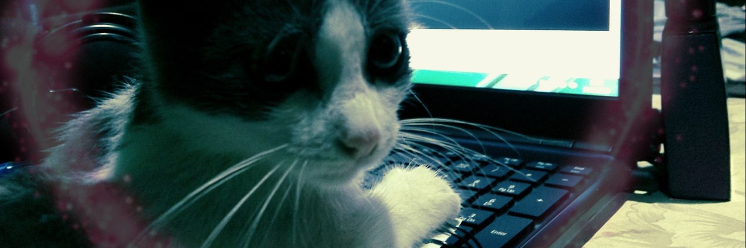 rafaelmlPEF's profile banner image