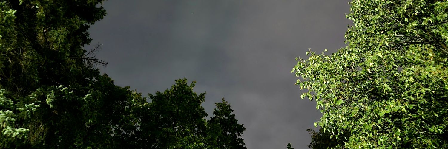 modern prima donna banner