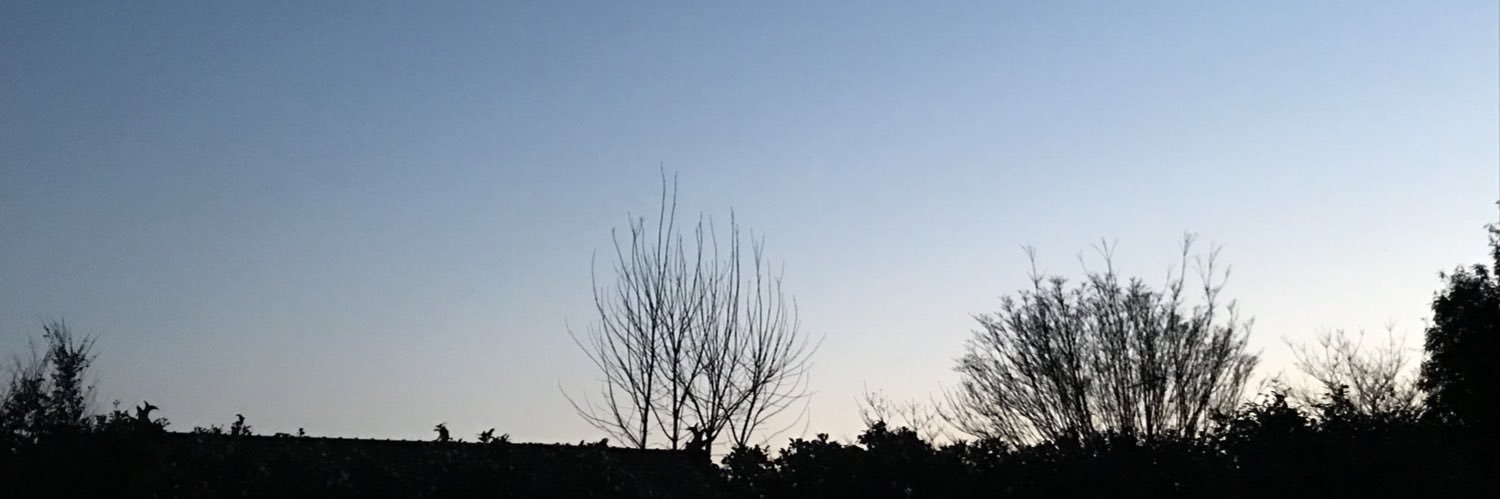 ibushi87's profile banner image