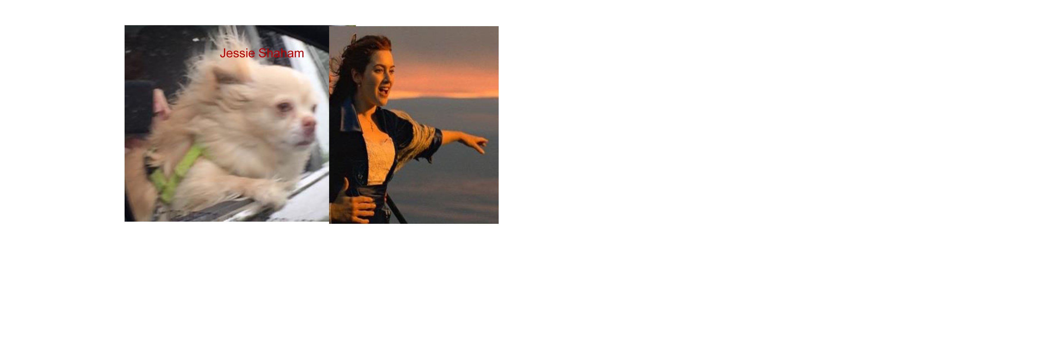 Yavin Shaham's banner