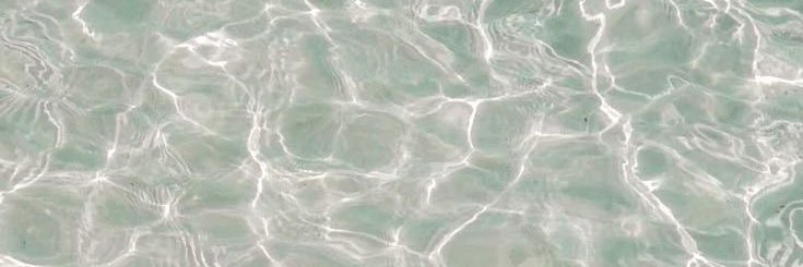 Daniela_200019's profile banner image