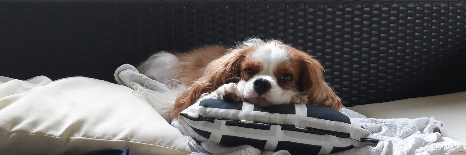 Coupes-Frites banner