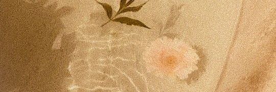 minmima1999's profile banner image