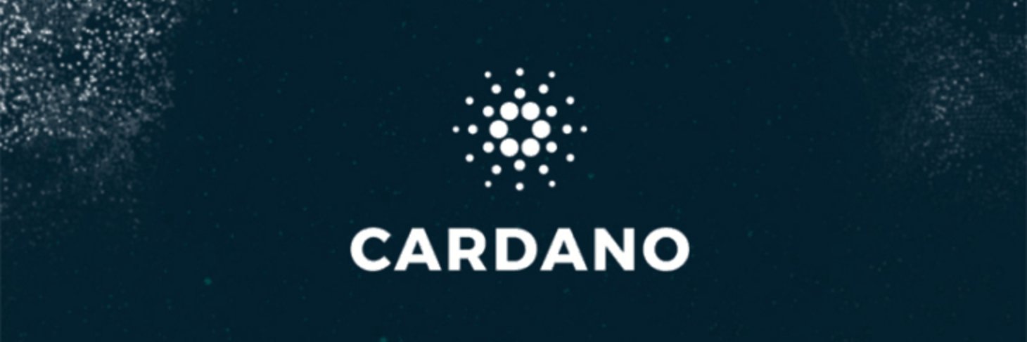 CardanoSkeptor's profile banner image