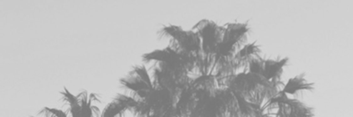 RetrosMariah's profile banner image
