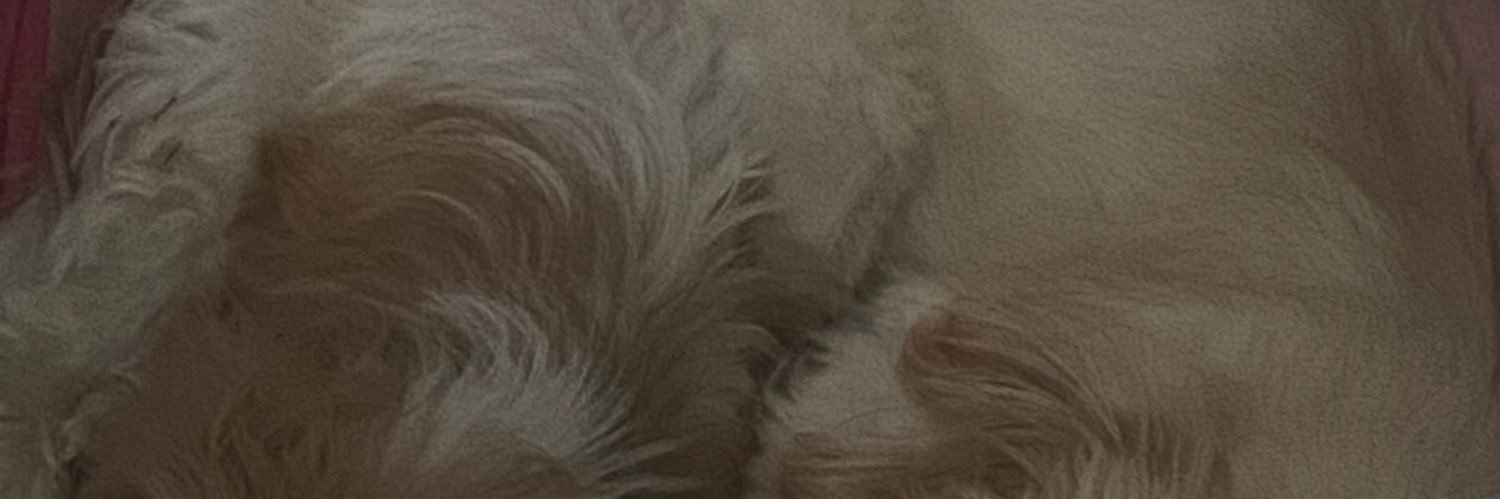dias banner
