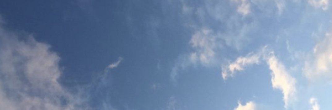 Stingraystan_'s profile banner image
