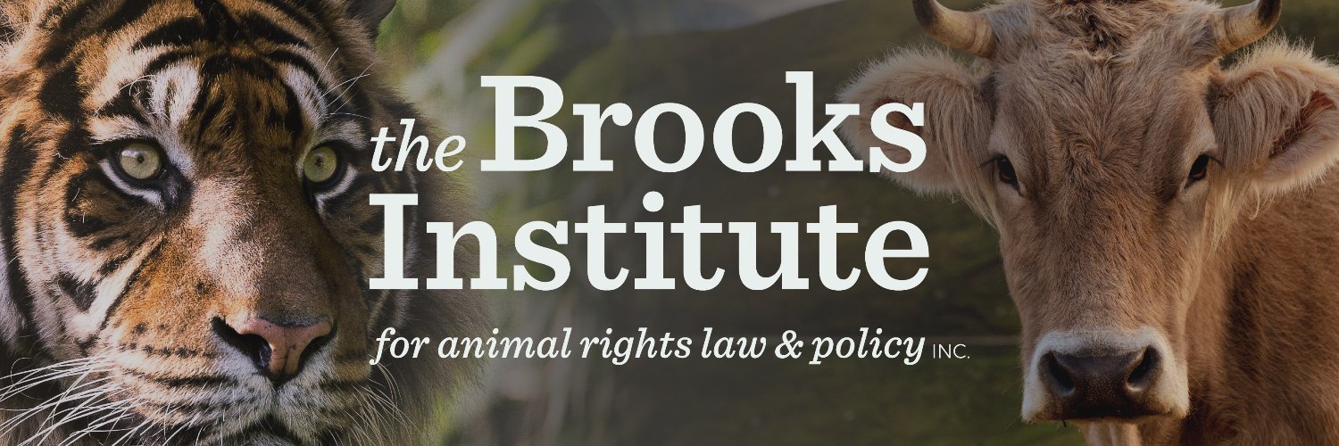The Brooks Institute banner