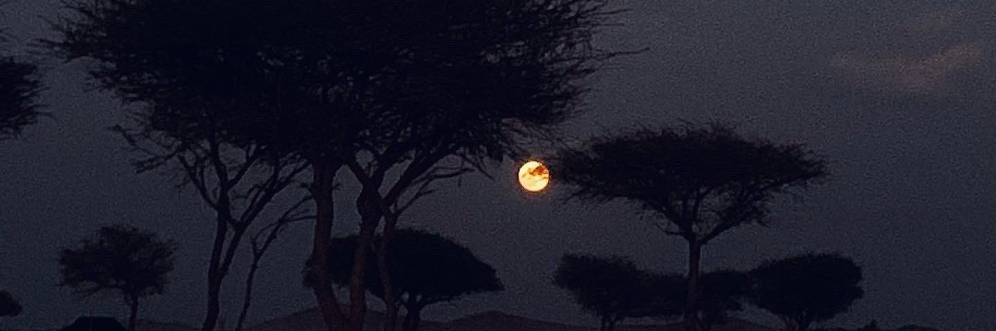 AzNadal's profile banner image