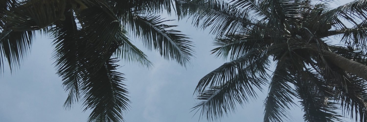 3ank_inn's profile banner image