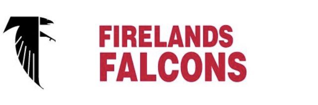 Falcons Softball banner