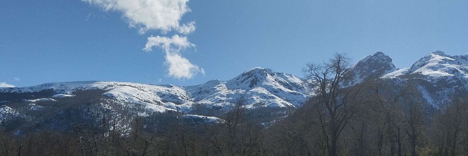 ojedamar's profile banner image