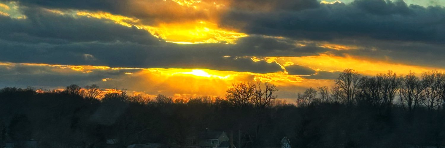 🌻LEAPS🇺🇸❤️🙏 banner