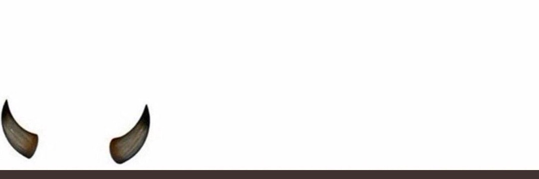 HarryBelly8's profile banner image